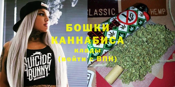 2c-b Инта