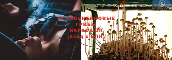 apvp Инсар