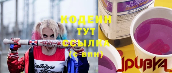 apvp Инсар