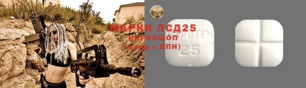 2c-b Инта