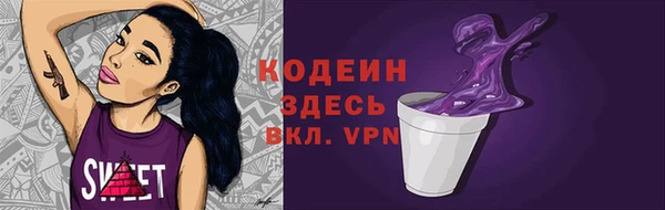 2c-b Инта