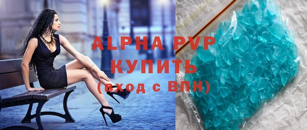 apvp Инсар