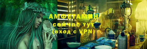 apvp Инсар