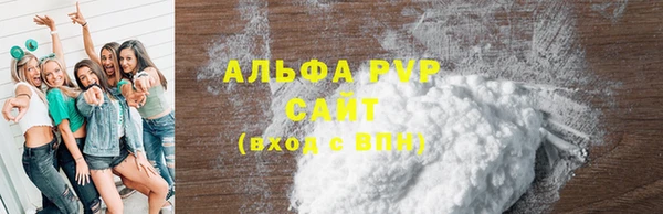 apvp Инсар